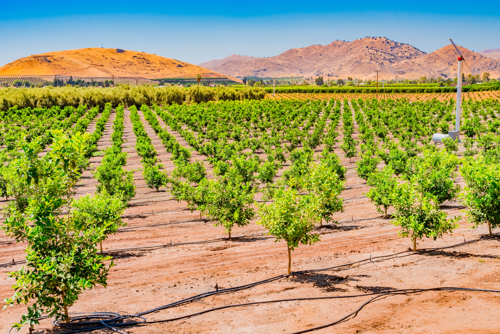 San Joaquin Valley