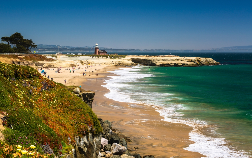 Lighthouse Field State Beach and Salt Rock, Santa Cruz
