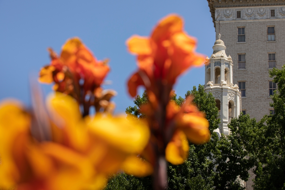 sunny day in downtown stockton