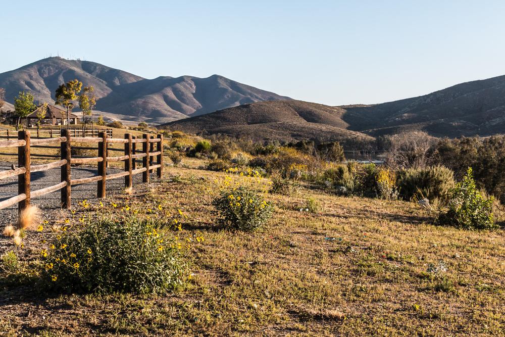 Fence line, flowers and mountain peak at Mountain Hawk Park in Chula Vista, California.