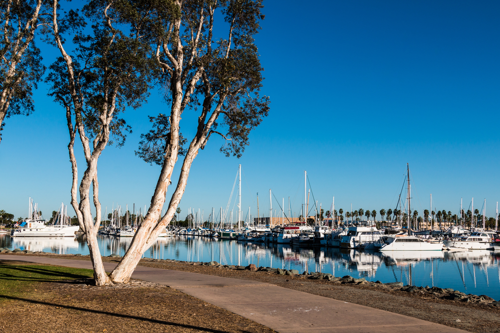 Pathway through the Chula Vista Bayfront park