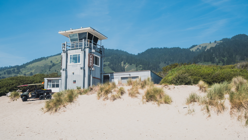 stinson beach