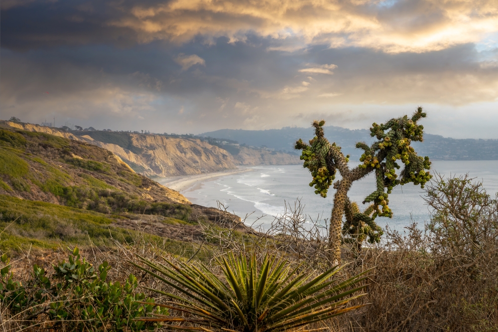 hiking in torrey pines