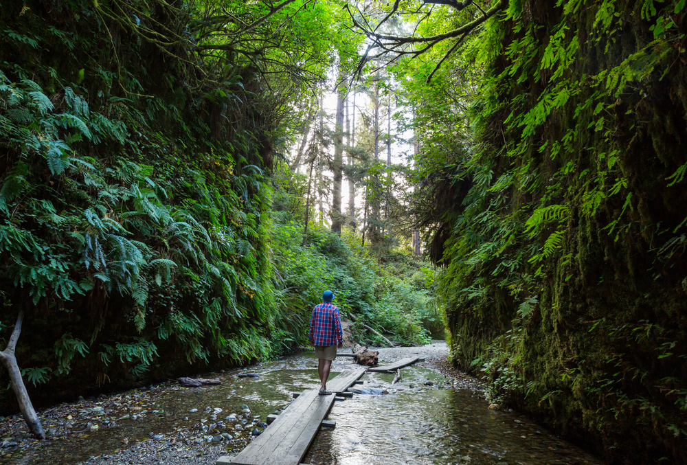 hiking in fern canyon