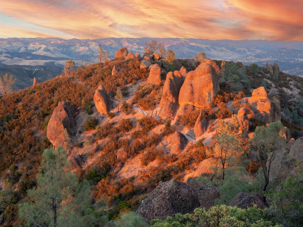pinnacles national park