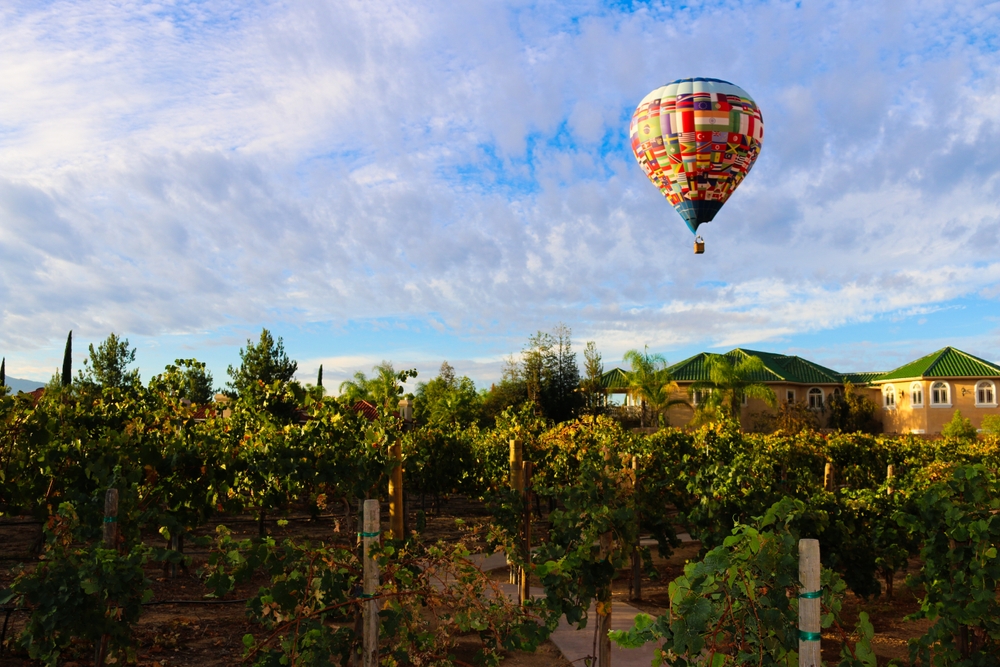 temecula vineyard and hot air balloon