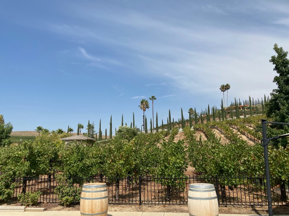 view of temecula vineyard
