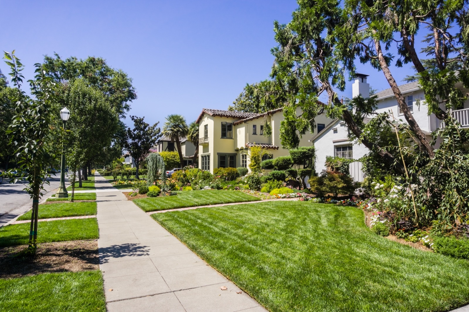 A residential street in a San Jose neighborhood